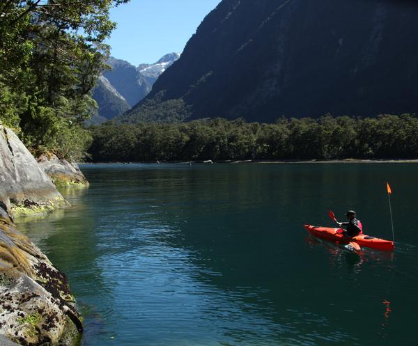 Kayaking in Harrisons Cove, within Piopiotahi-Milford Sound